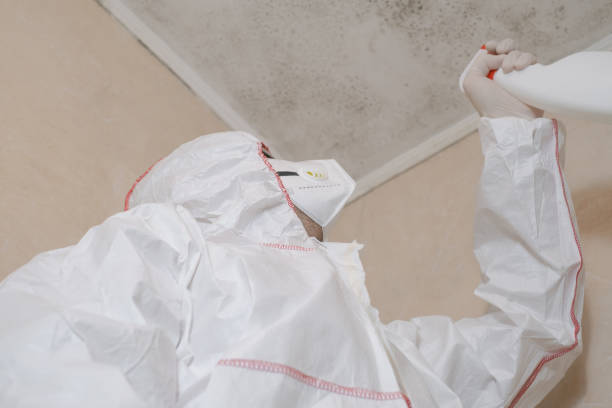 Best Crawl Space Mold Removal  in Rockport, TX